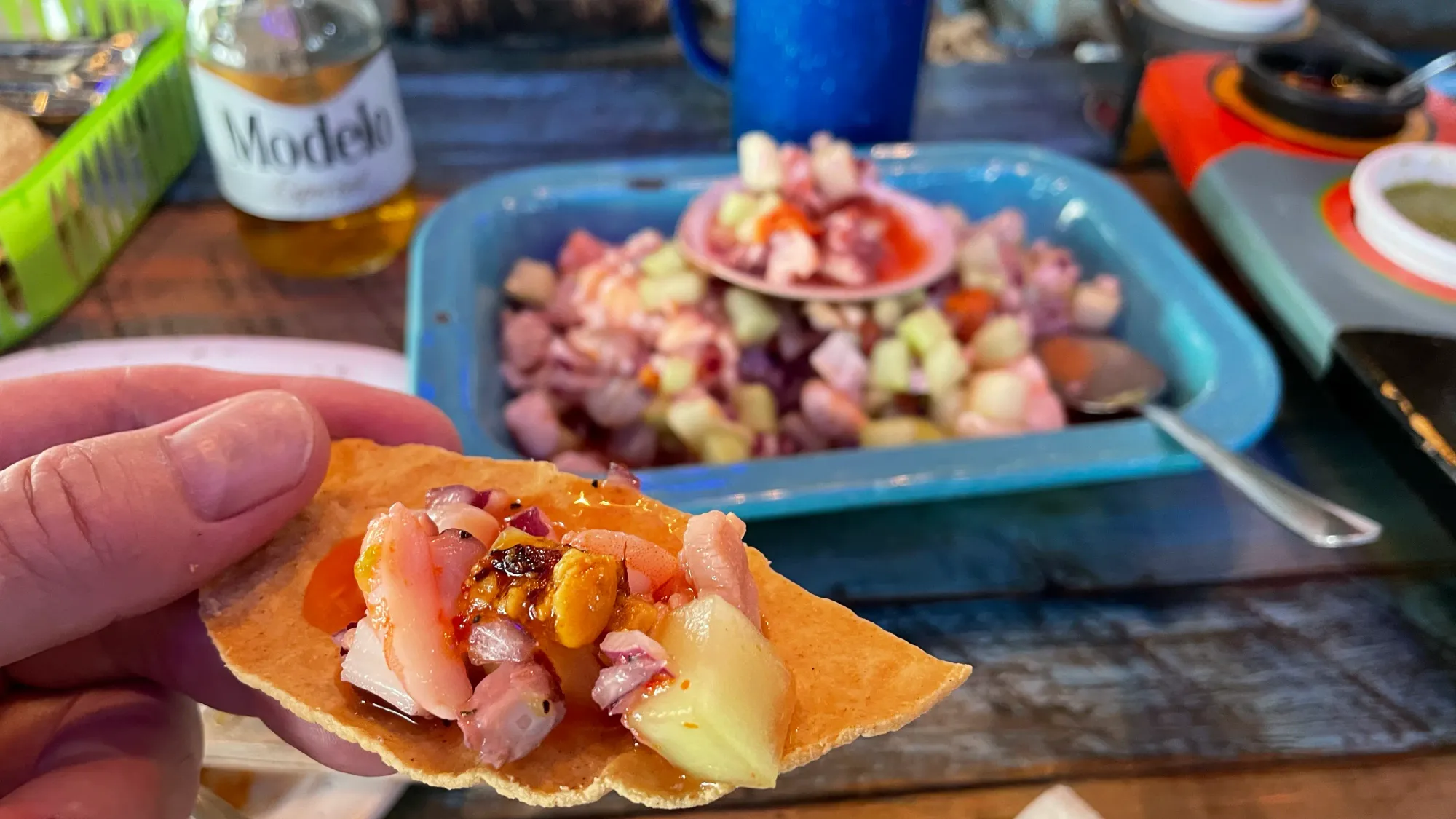 Food in Mérida and the Yucatan
