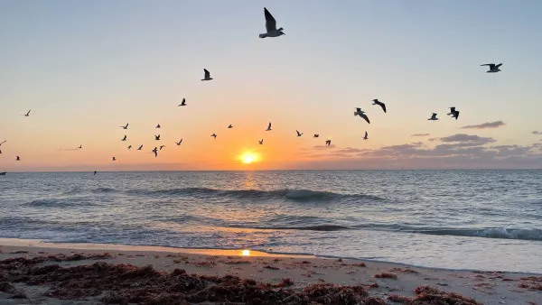 Gulls fly over the gentle surf as the sun sets over the Gulf of Mexico at Celestun. 