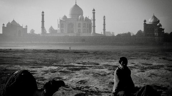 A woman rides a camel past the Taj Mahal. 